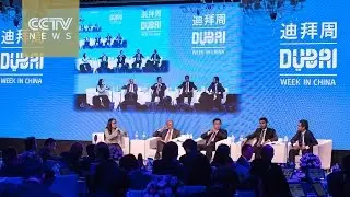 UAE Undersecretary of Foreign Trade and Industry discusses China-UAE cooperation