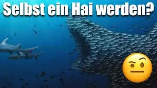 Einigkeit ist Schw&auml;che, Verantwortung die St&auml;rke