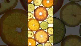 Phyto constituents Vs Bioactive constituents