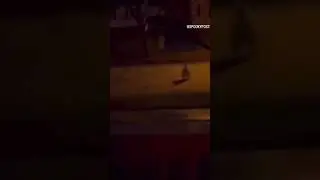 #puppet #meme #reel #funny #funnyvideo #tiktok #tiktokvideo