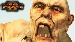 Greenskins vs Chaos - THE GOBBO KING MEMES HARD! - Total War: Warhammer 2 - Quick Battle #169