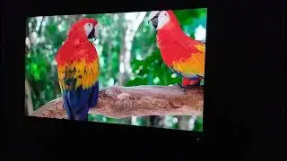 Распаковка Acer Nitro VG240Y