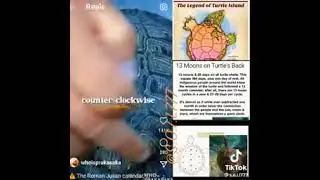 The real turtle calendar