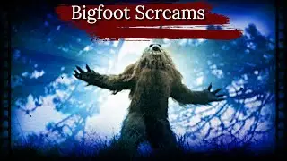 Bigfoot ScreamsTerrified Me🔥🔥😱#mysterious #paranormal #supernatural #bigfoot