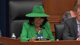 Rep. Frederica Wilson Opening Remarks with U.S. Army Corps of Engineers