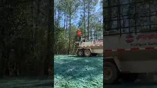 #hydroseeding