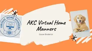 AKC Virtual Home Manners Adult- Goose