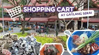 Geylang Serai Market Vlog | Spice & Grocery Haul #shopping #geylangserai #wetmarket #singapore