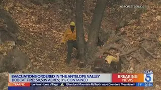 Bobcat Fire: New evacuation orders issued as 50,000-acre blaze burns in Angeles National Forest
