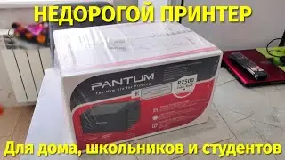 Недорогой дешевый принтер для дома, школьника и студента Pantum P2500