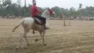 Incredible Horse Racing Event in Bihar 🇮🇳 | Local Culture & Speed!