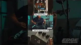 People really need to stop sleeping // #fuzz #fuzzpedal #fuzzrock #fuzzpedals #guitartone #humbucker