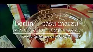 【発酵旅#15】casu marzu｜伝説の発酵食品・虫チーズ〈カール・マルツ〉を食べてみた！