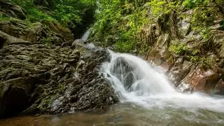 🔴 LIVE 4K Relaxing River - Ultra HD Nature Video  & Birdsong Sounds - Sleep/Study/Meditate