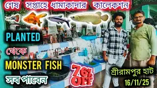 শ্রিরামপুর হাটে শেষ সপ্তাহে ধামাকাদার অফার 🤯 SHRIRAMPUR AQUARIUM FISH MARKET//AQUARIUM PLANT PRICE❗👀