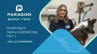Quick Tips: Grooming a Heavy-Coated Dog with Liz Thompson - Part 1