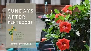 Seventeenth Sunday after Pentecost | October 5, 2025