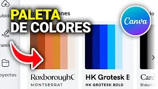C&oacute;mo Usar Paletas de Colores Predeterminadas en Canva