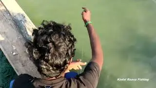 Triple Hook Fishing catching a Rabbitfish constantly