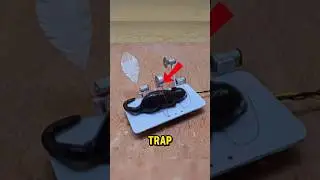 Sussy mousetrap 😂#funny  #hilarious  #wholesome