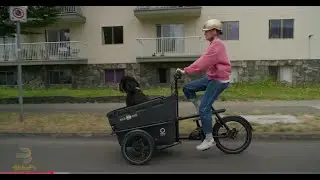 E-bikes: Hub- vs Mid-drive Motors
