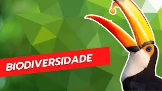 Biodiversidade
