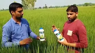 bhoomiputra testimonial #Vpo..hatt(safidon) # Haryana