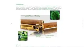 Trade Pharma Network | Миссия. Технологии. Команда.