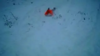 the best sled ever