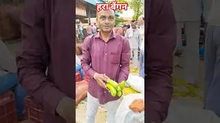 Hara baingan 🍆 sabji mandi barabanki up 🥦 #shafeeqmohammad #sabji #mandibhav #baingan
