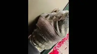 House lockout in -7 degrees 🤯 no excuses!