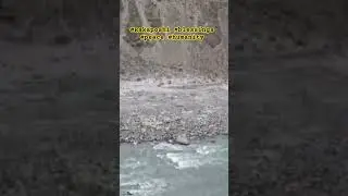 #Rakaposhi #blessings #peace #humanity #viral #travel #shortsviral #nature #lifeisbutadream