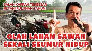 Cara Olah Lahan Sebelum Budidaya Padi Pola KP2M Nusantara