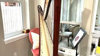 MY PEDAL HARP IS HERE!