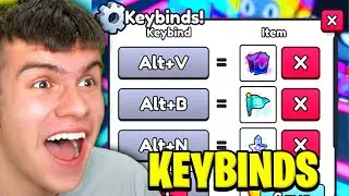 How To SET KEYBINDS In Roblox Pet Simulator 99!