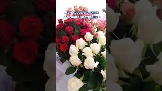 Всем хорошего дня и отличного настроения