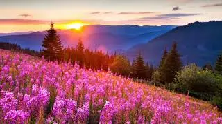 Relaxing music - Complete satisfaction #relaxing #relaxingmusic #relax #music #satisfying