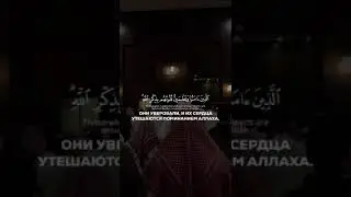 Чтец Мухаммад-Люхайдан#freePalestina
