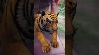There is a tiger sitting outside our house.