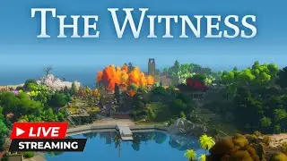 The Witness | LIVE