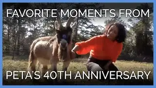 Our Favorite Moments From PETA&rsquo;s 40th Anniversary Party