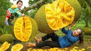Single mom Harvests jackfruit to sell & Cook nutritious porridge for my son