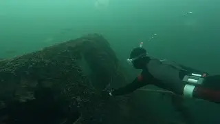 Freediving to shipwrecks in Baltic Sea, Poland