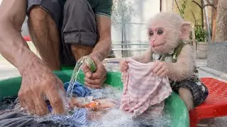 OMG, can little Baba really help Dad Minh with the laundry? Is this for real?