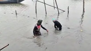  মিরকা বিলে দেশী মাছ  ধরা দেখতে গেলাম।fish।  Fishing 