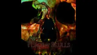 PLACE OF SKULLS - Nailed 2001 full album