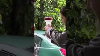 Hummingbird rescued from near death