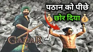 Gadar 2 Ne Pathan Ka Record Tod Diya 😱 | Gadar 2 Collection #filmyvirus