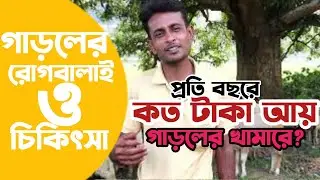 7 lakh rupees is earned annually by keeping sheep | Garol farming in Bangladesh | Sheep farm in BD