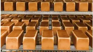 【IMAR Machine】🍞 Toast Bread Production Line: Ignite Your Bakery Output! #breadmachine #toast